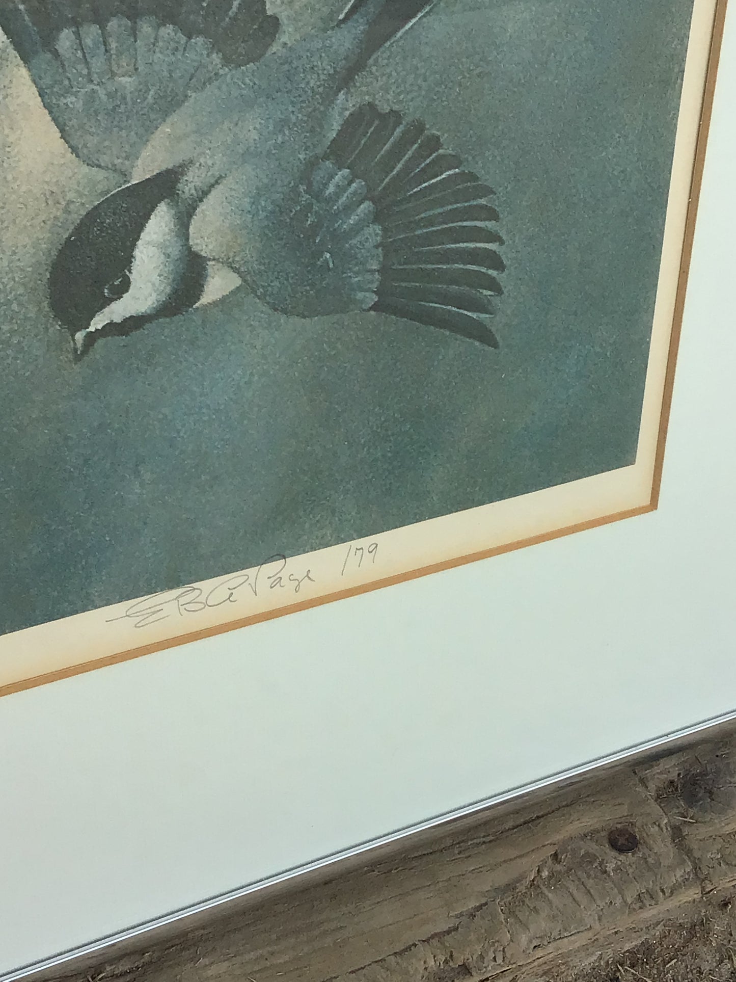 “Freedom” - LePage 1979