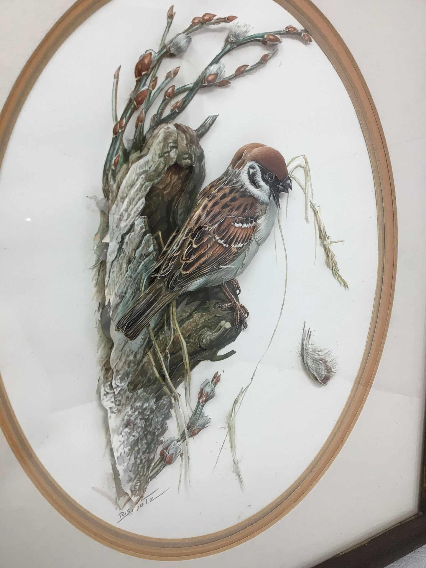 Framed 3D Bird Art