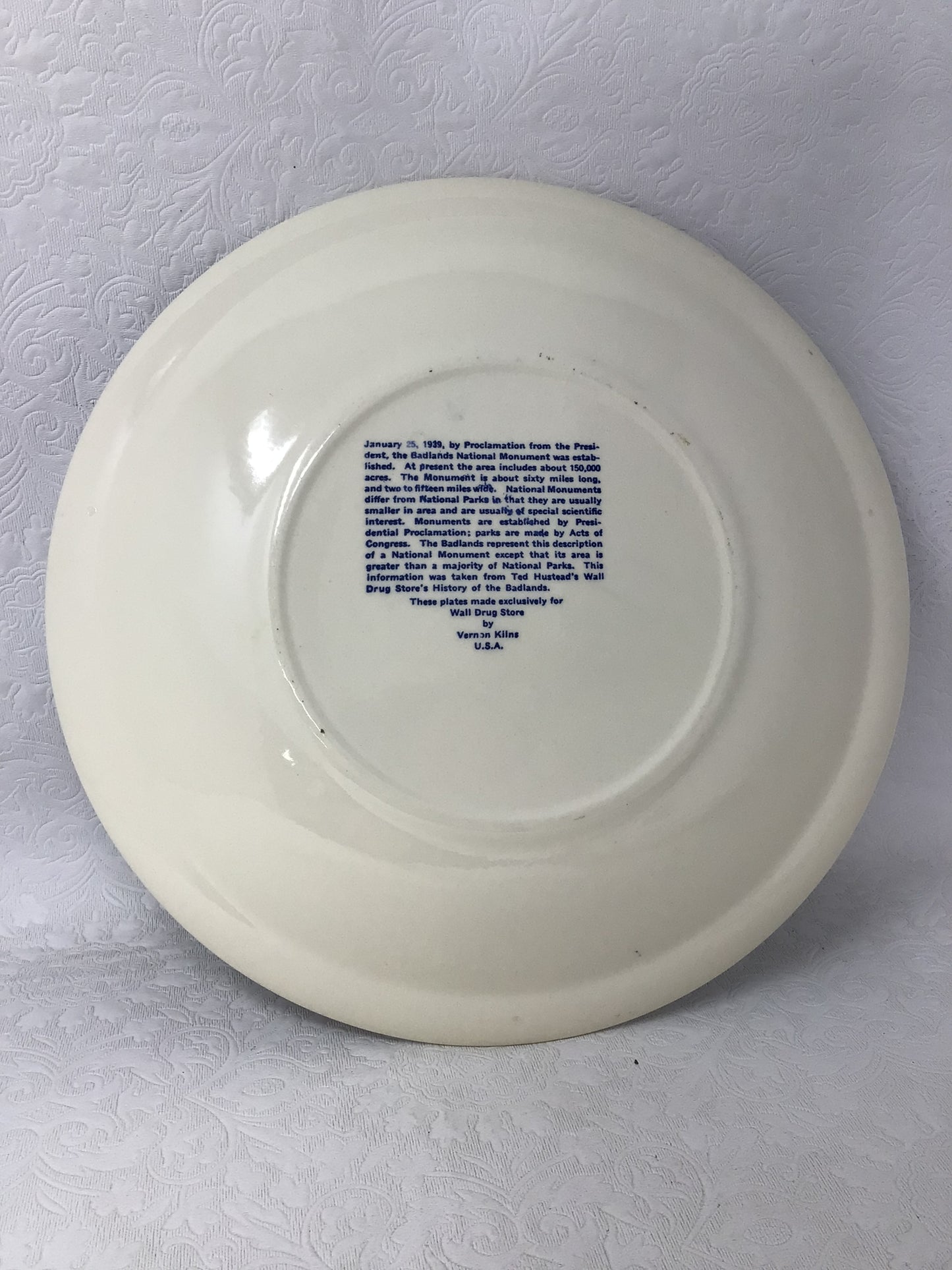 Set of 2 Vintage Blue Transferware Souvenir Collector Plates