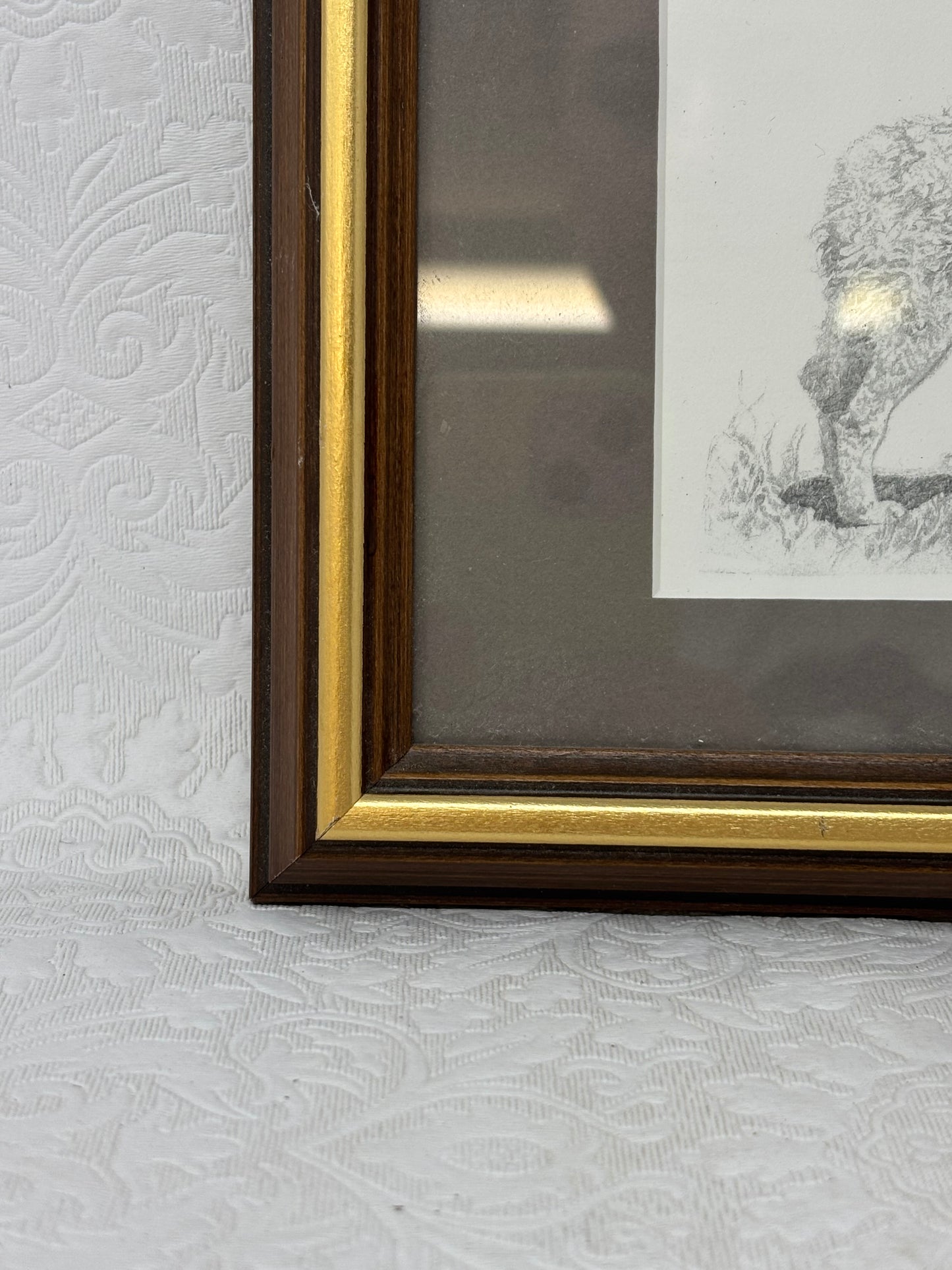 Signed Print Of Pencil Artwork In Frame
