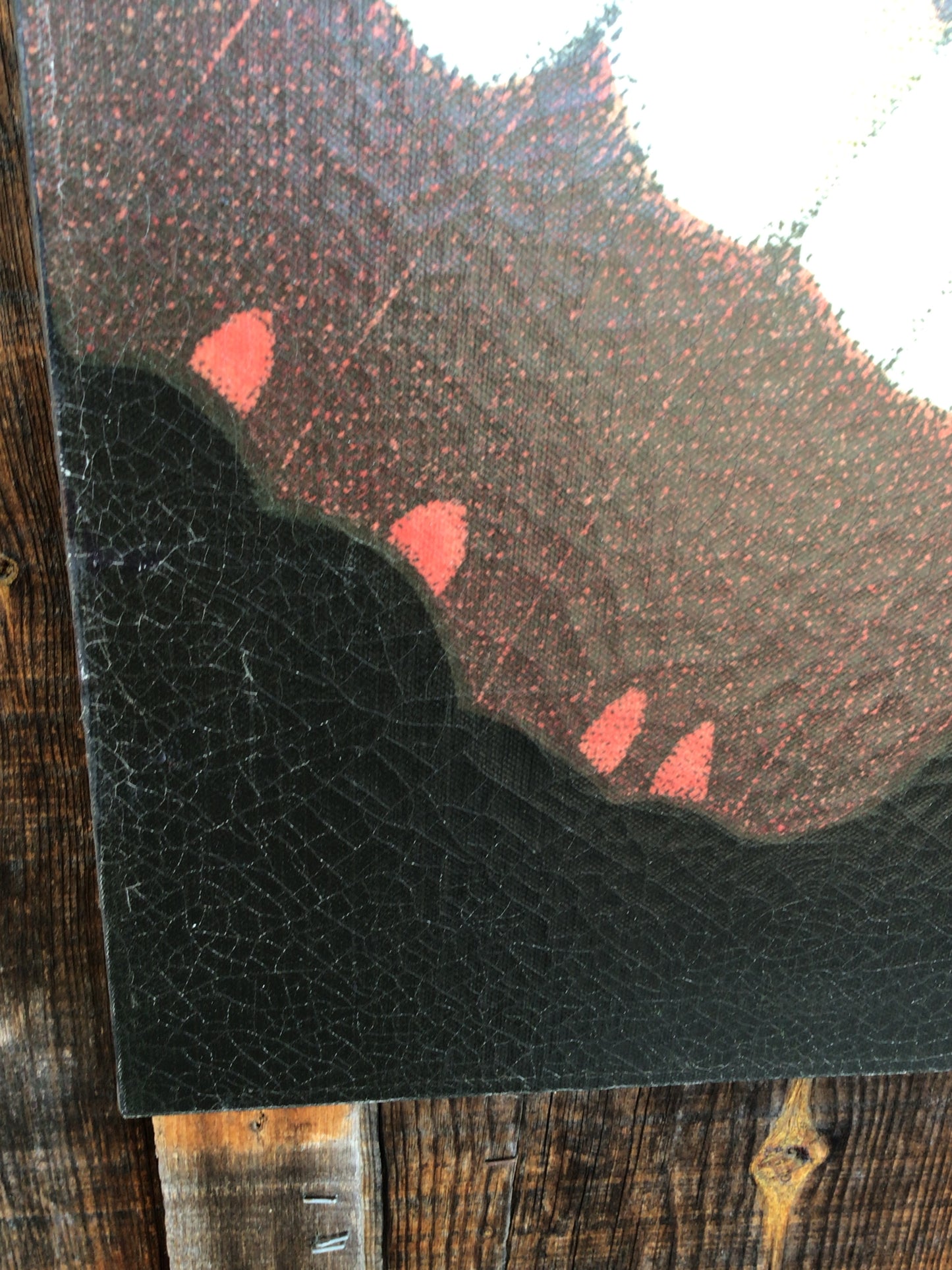 Butterfly Canvas Art