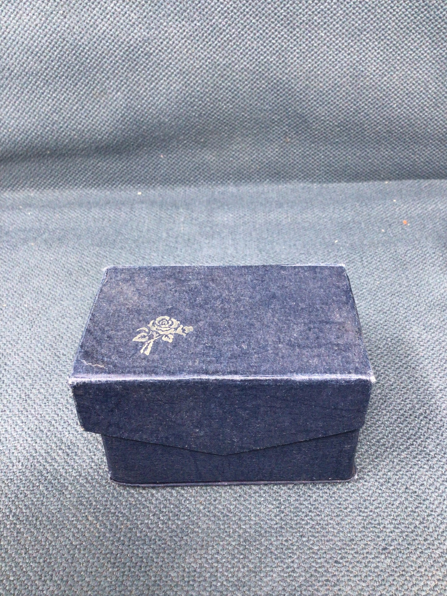 Alaska 3D Animal Paperweight