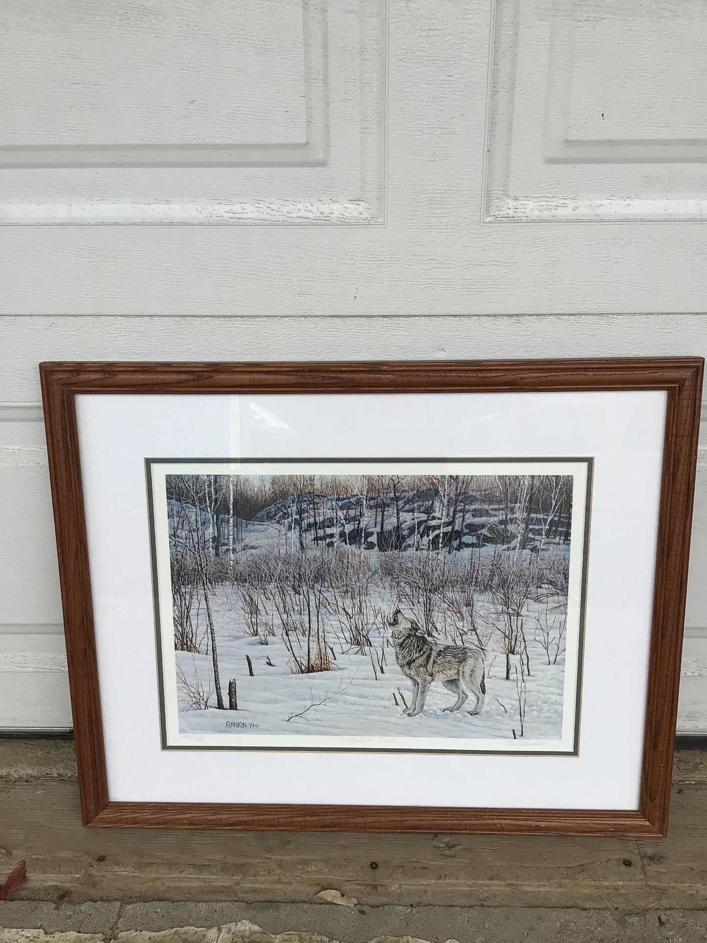 Wolf Print, Rankin ‘94