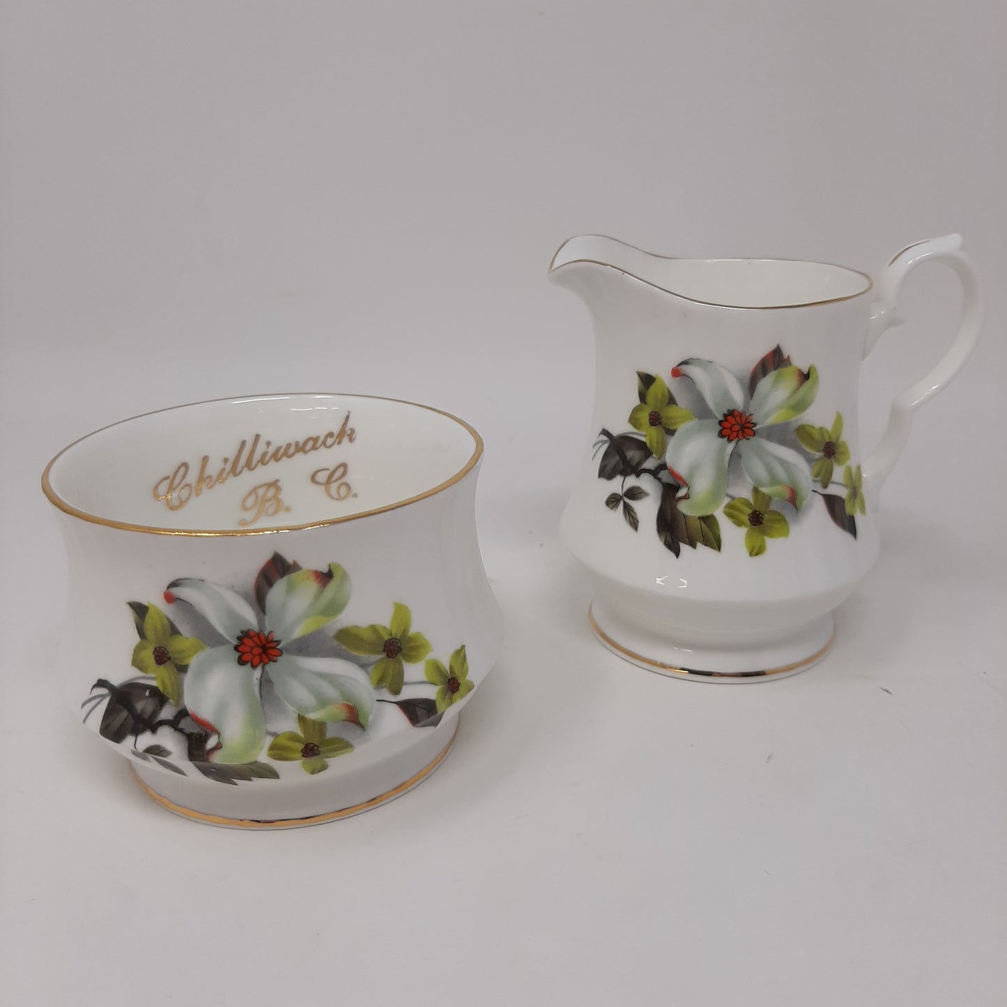 Vintage Bone China Dogwood Pattern Royal Windsor Cream and Sugar Set