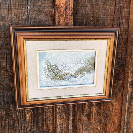 Framed and Matted “ Afternoon Glow Snowy Owl” Print