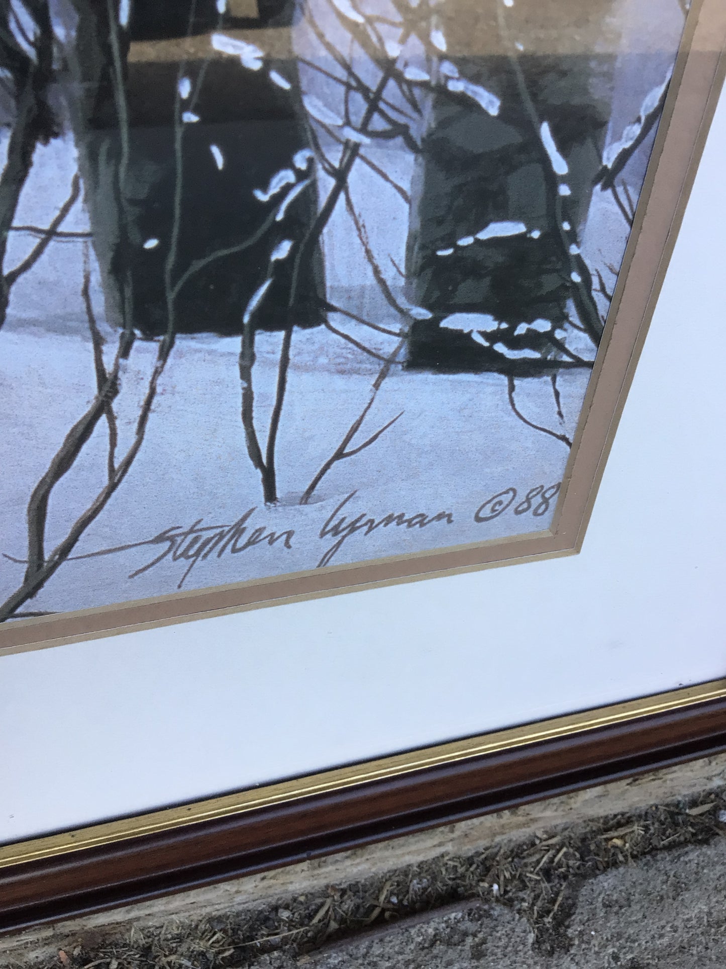 ‘A Walk In The Woods’ Framed Art