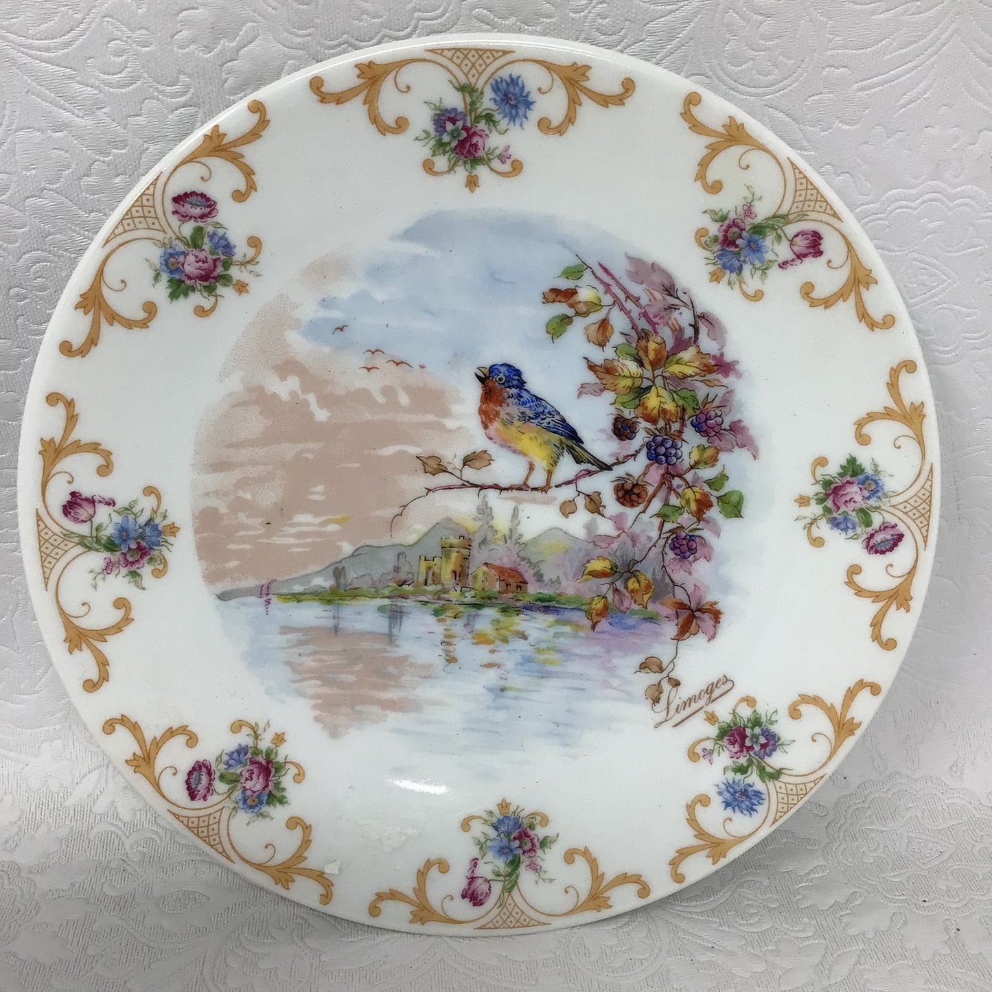 Vintage Limoges Porcelain Plate