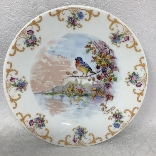 Vintage Limoges Porcelain Plate