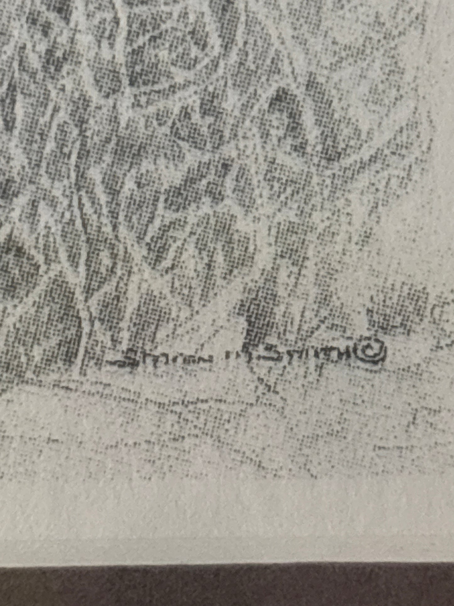 Signed Print Of Pencil Artwork In Frame