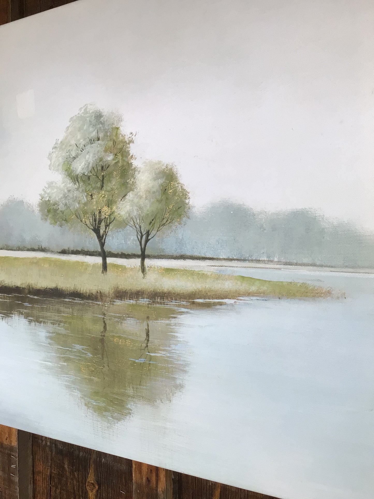 ‘Trees on the Bay’ Canvas Art
