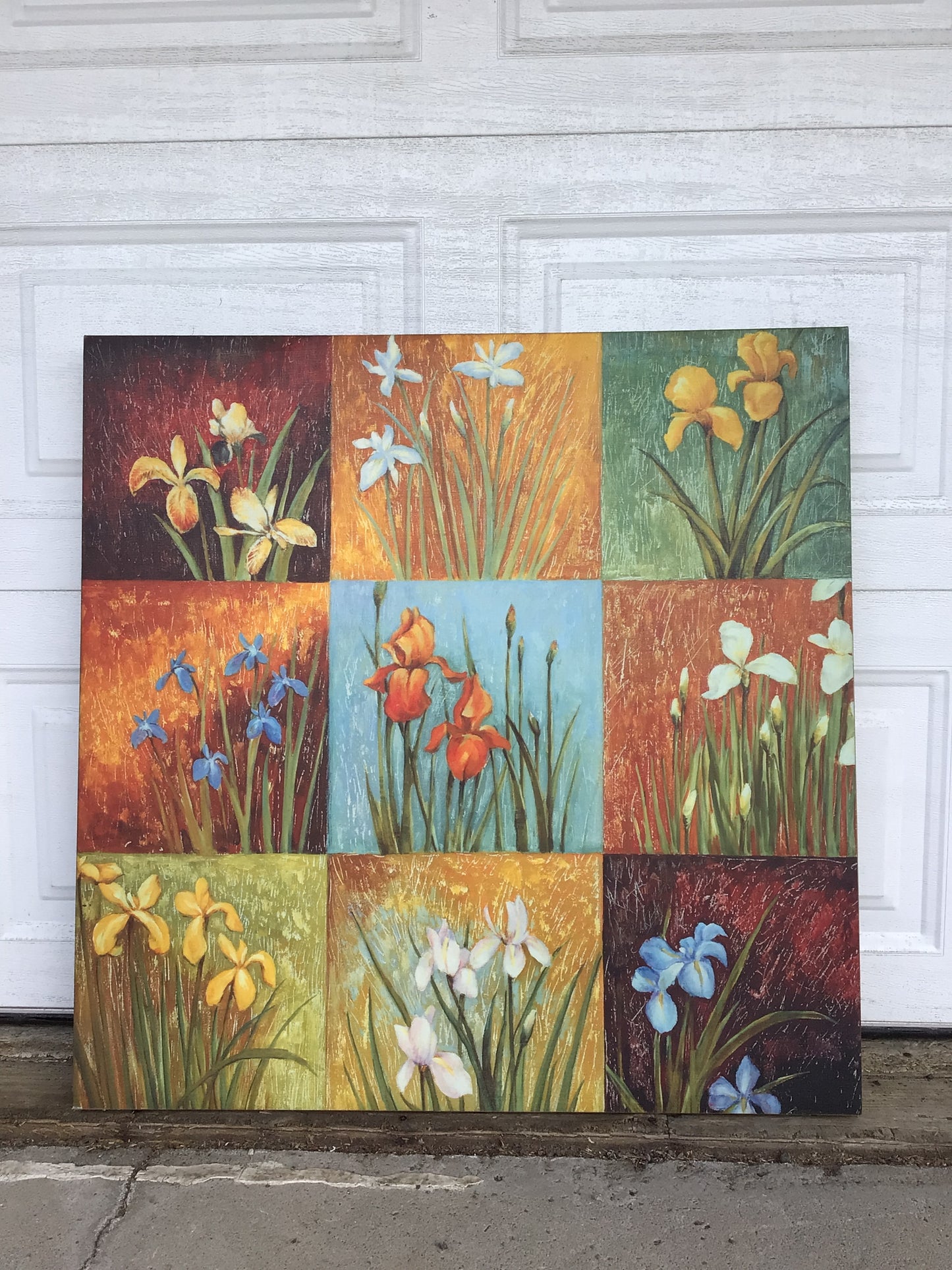 "Iris Fields I" by artist Jang Mariss Print
