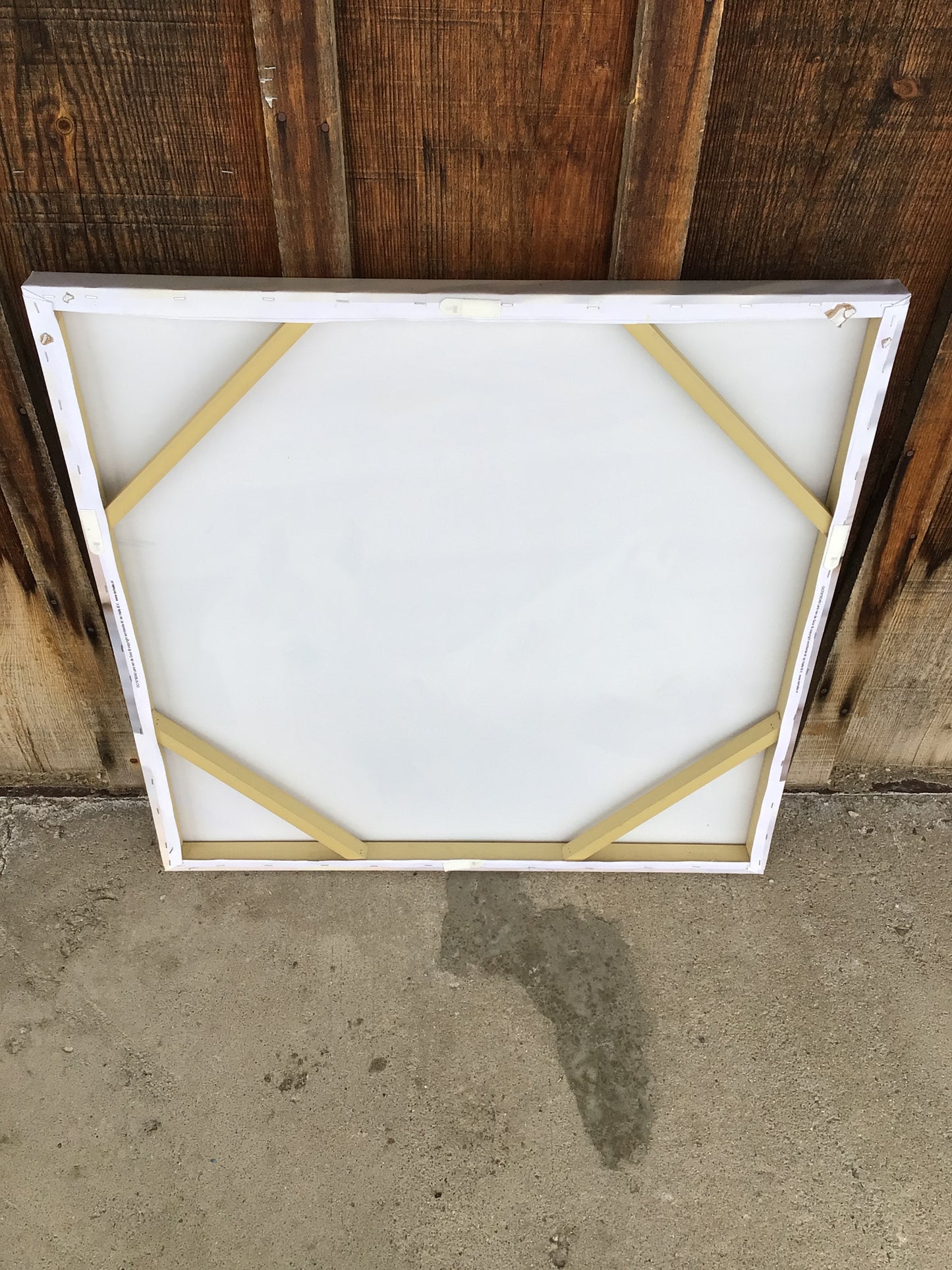 Canvas with 2 White Horses