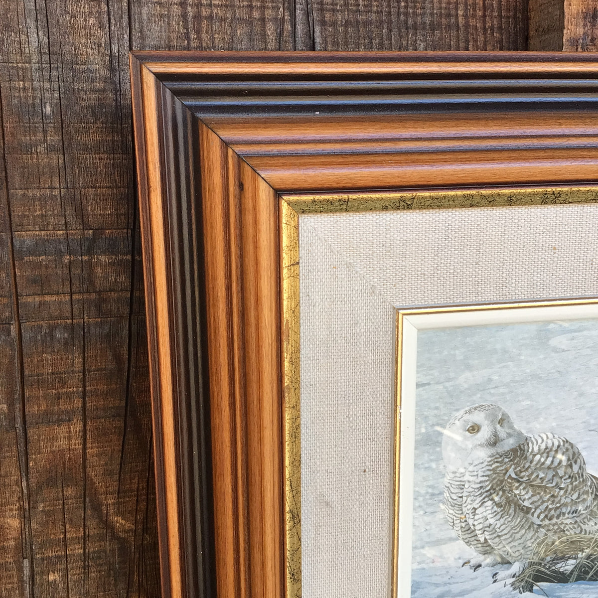 Framed and Matted “ Afternoon Glow Snowy Owl” Print