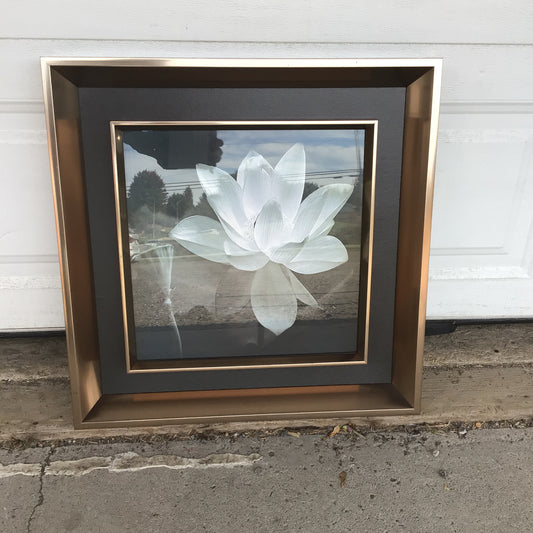 White Lotus Artwork