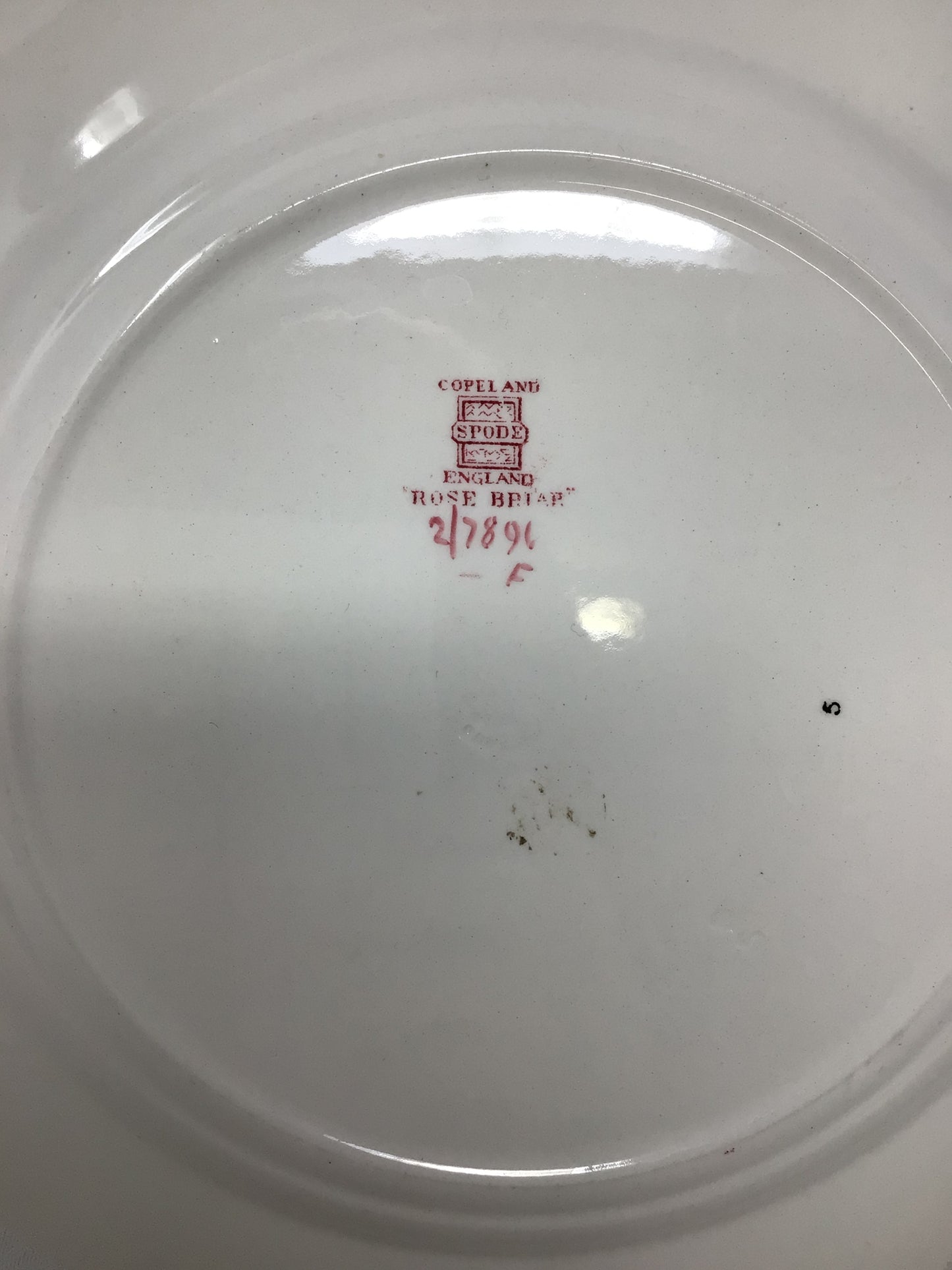 Rose Briar Plate by Spode Copeland