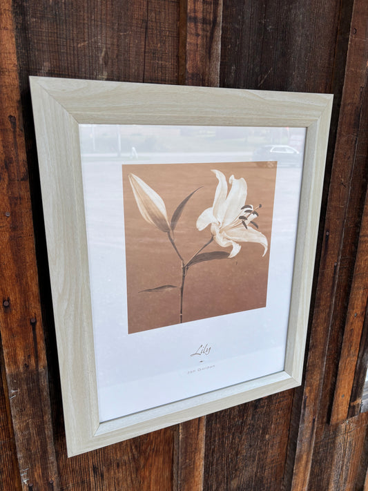 “Lily” by Jan Gordon