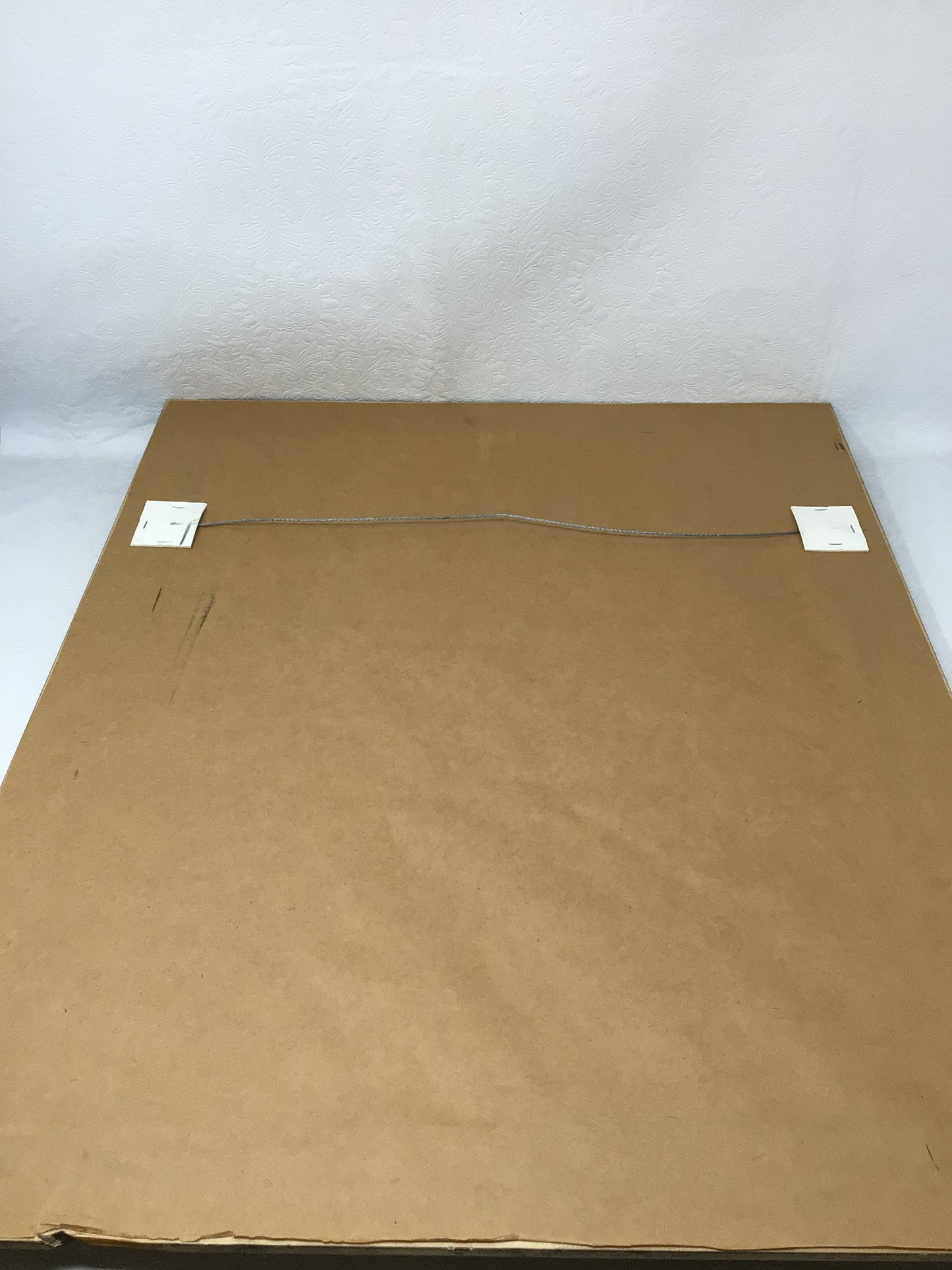 Set of 2 Bird Pictures