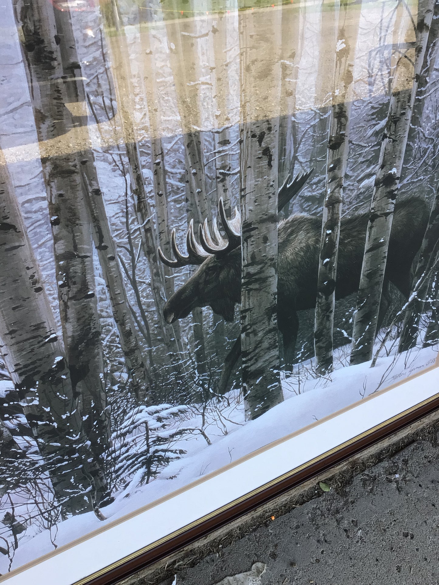 ‘A Walk In The Woods’ Framed Art