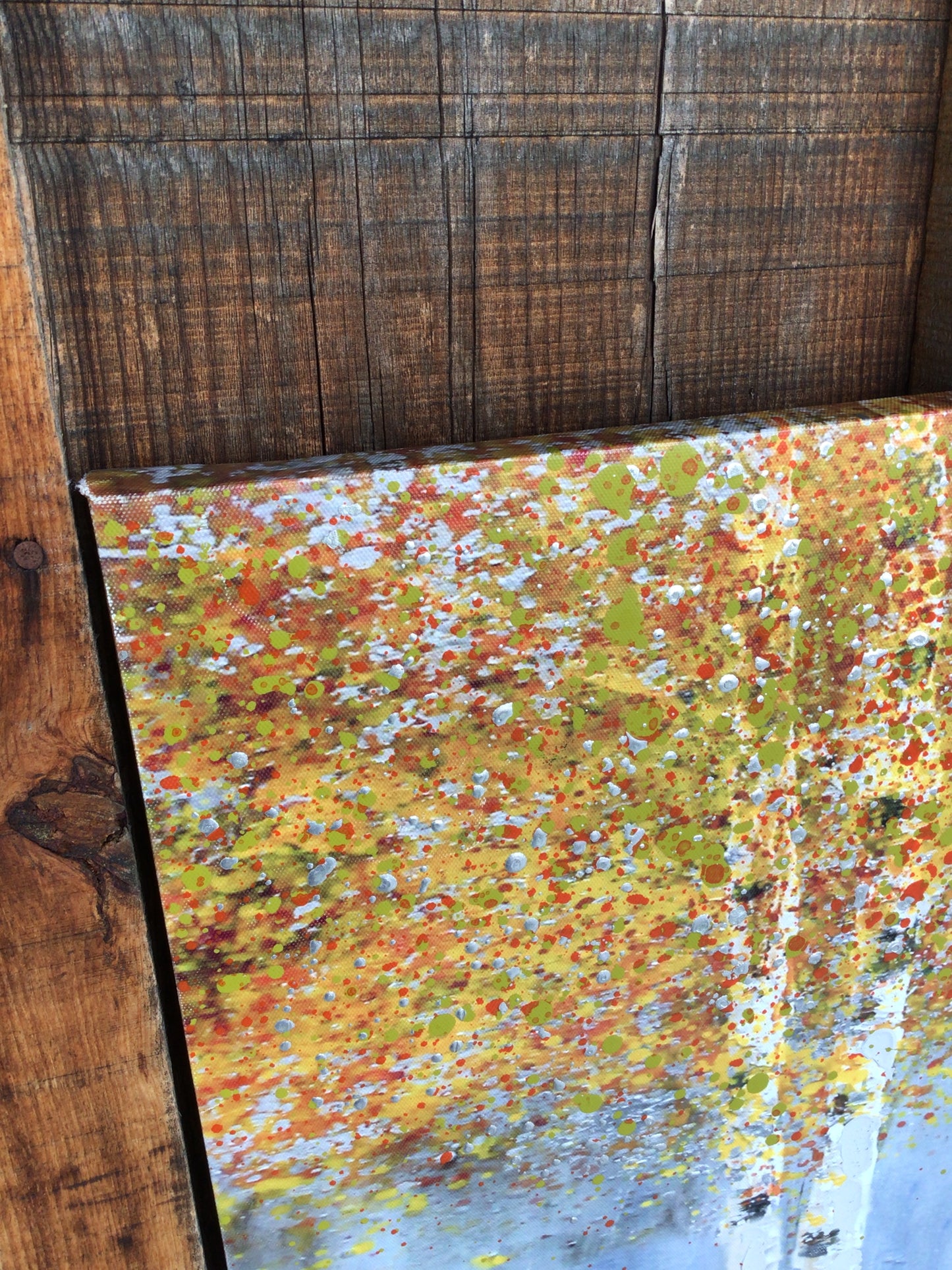 Autumn Birch Tree Landscape Print