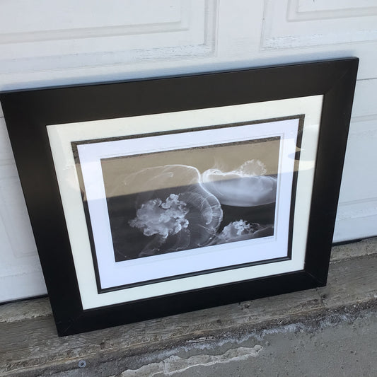 “ The Luminous Veil” Matted and Framed Print