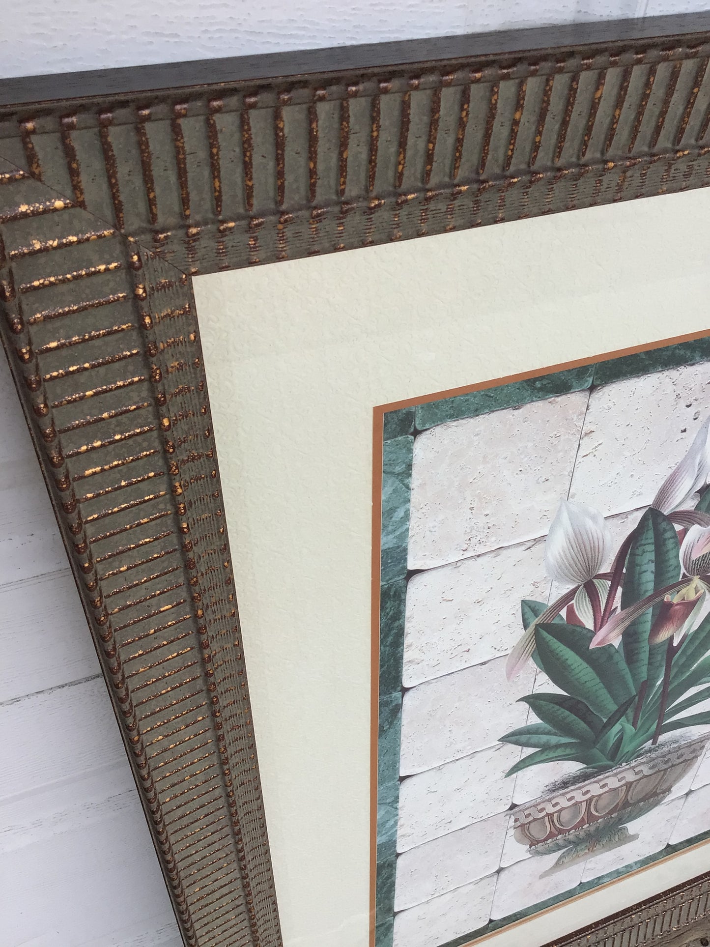 Framed Orchid