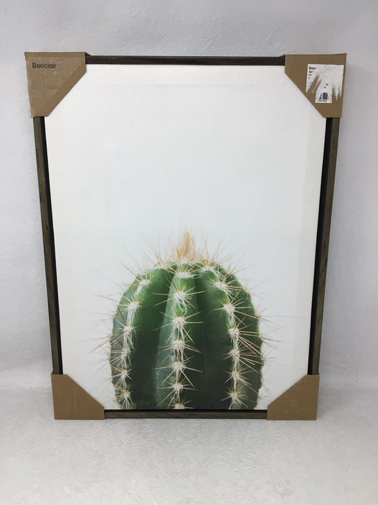 Bouclair Framed Canvas Cactus Art