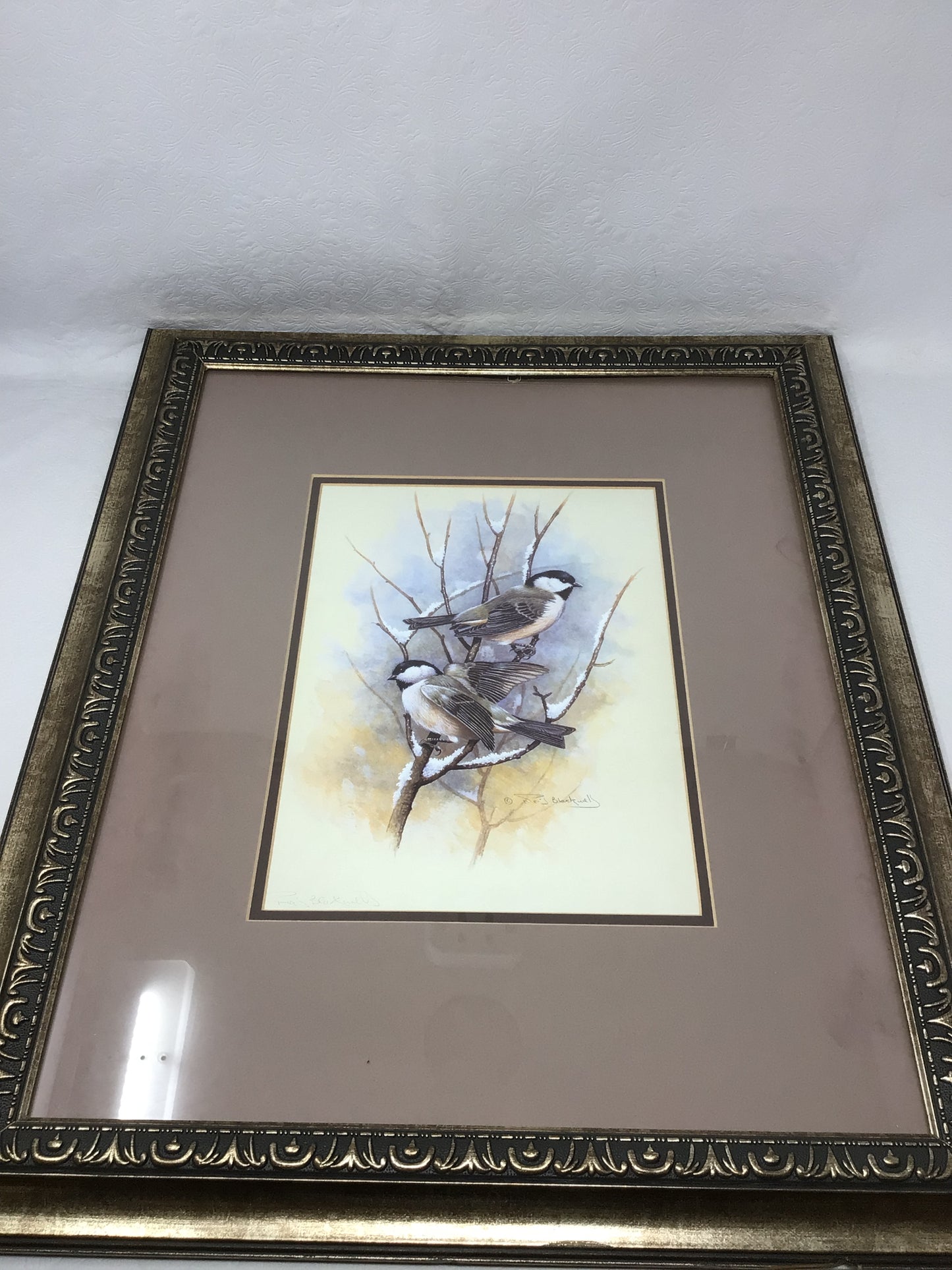 Set of 2 Bird Pictures