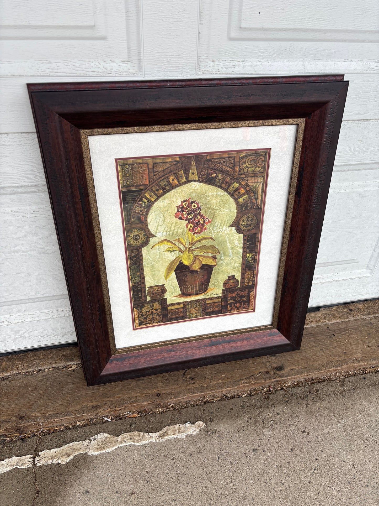 Botanical Print of a Primula Auricula Flower