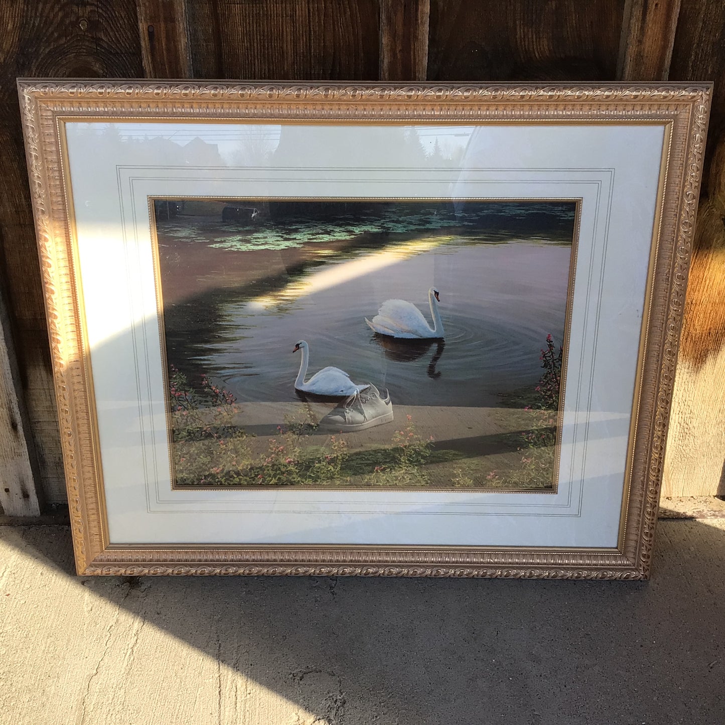 Swans On the Lake