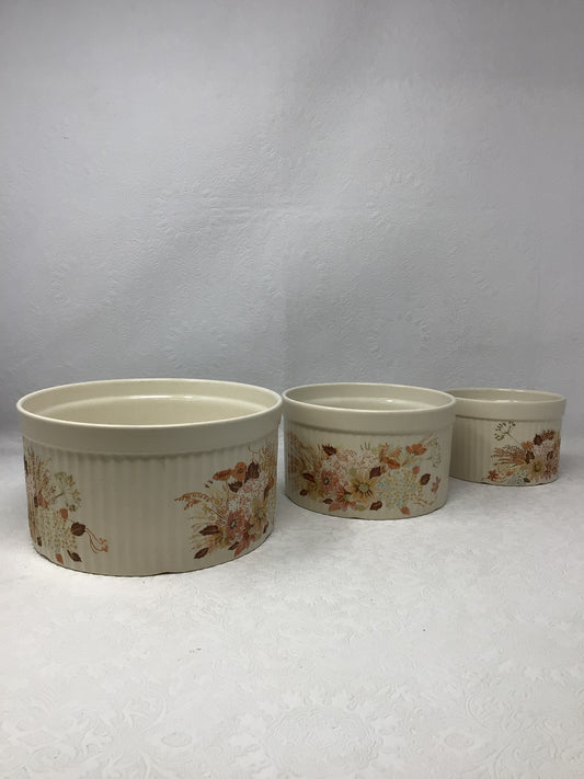 Vintage Poole Pottery Summer Glory Souffle Dishes