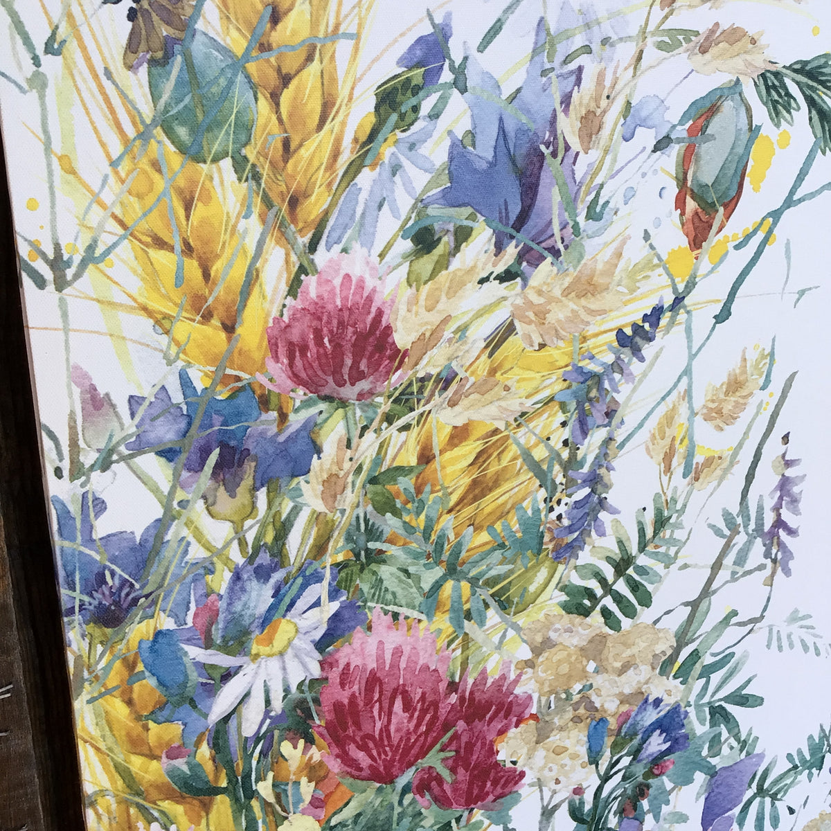 Canvas Print of Wildflower Meadow