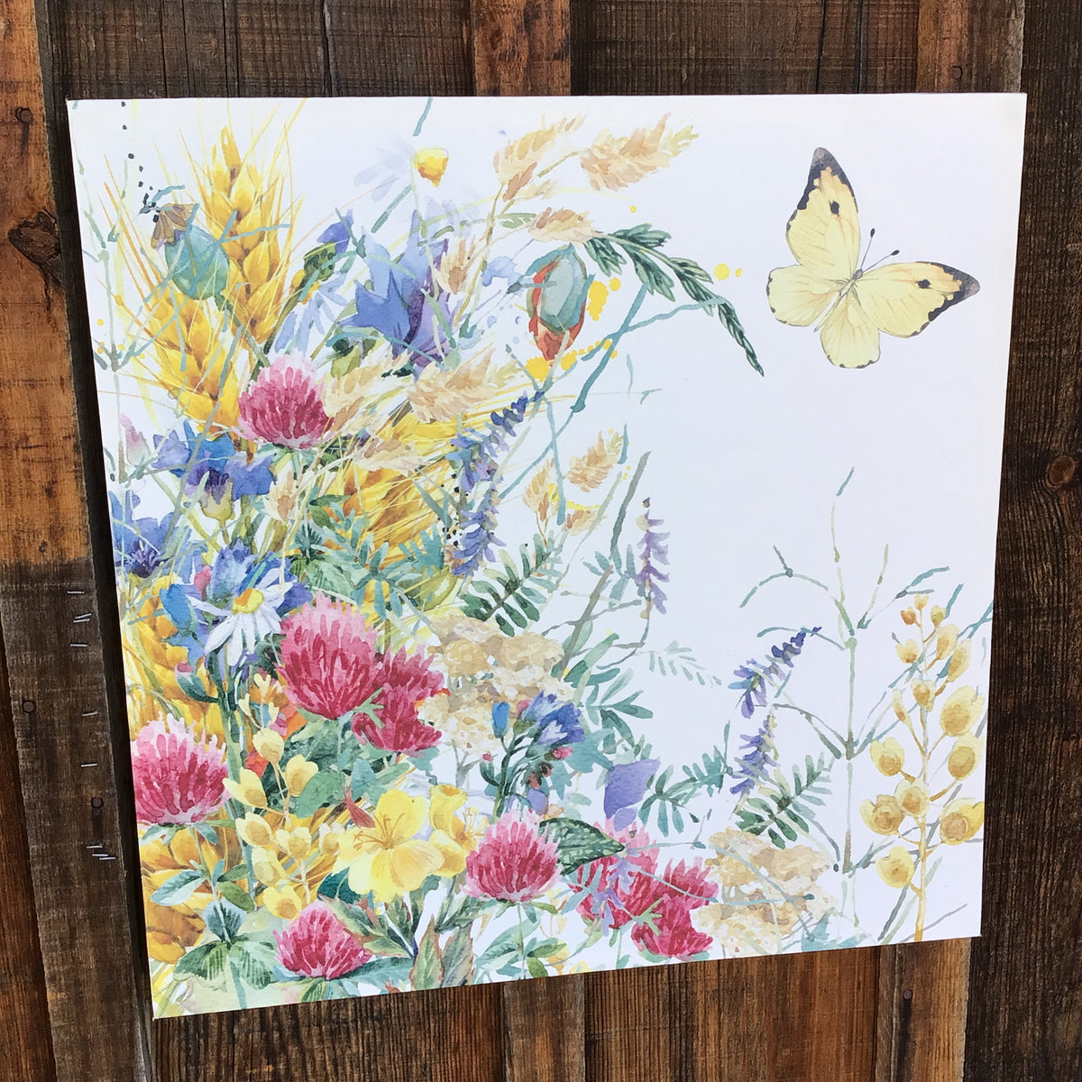 Canvas Print of Wildflower Meadow