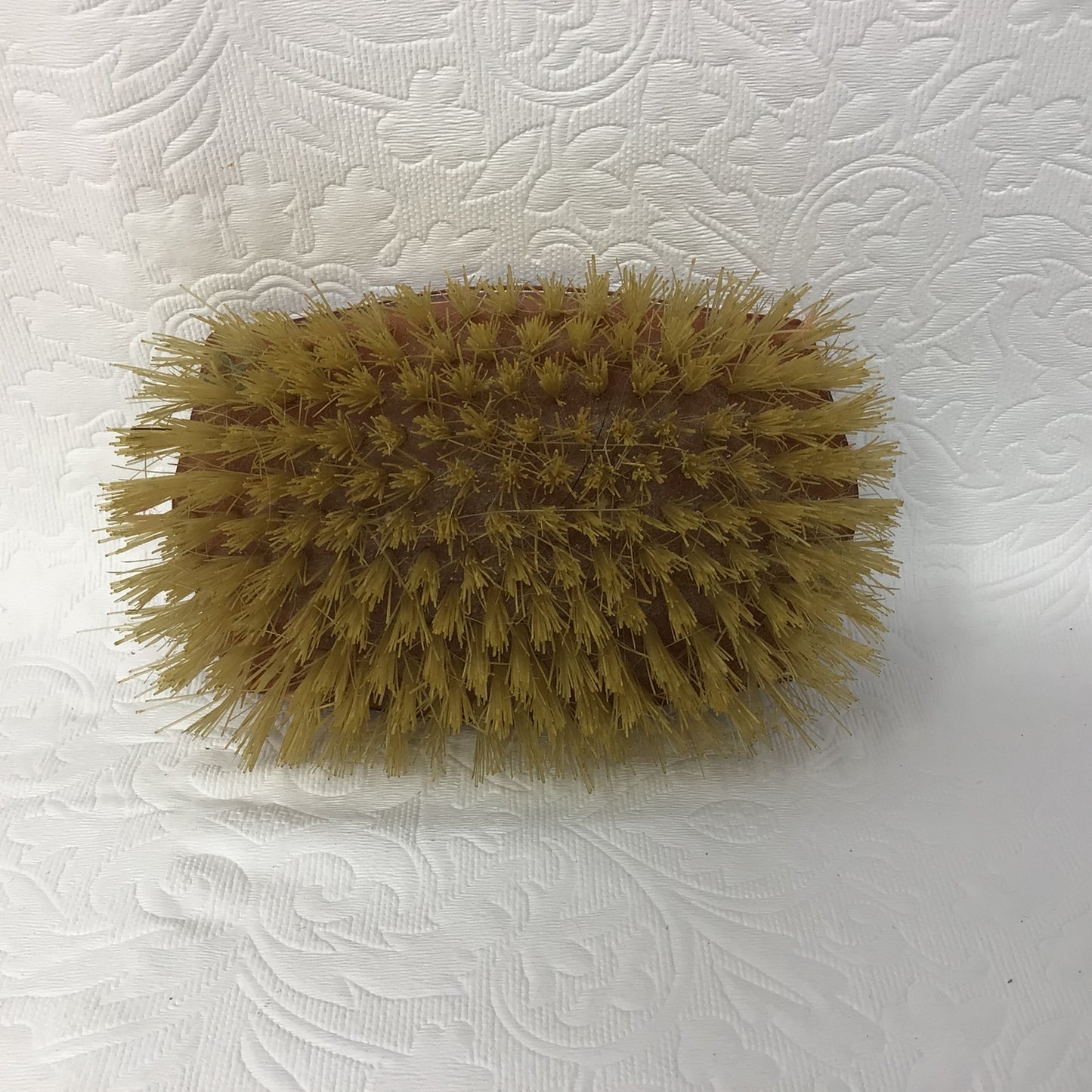 Antique Clothing Brush