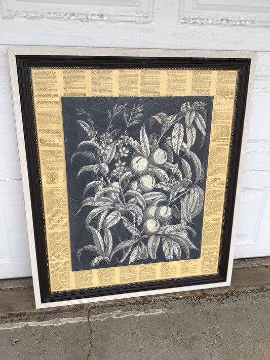 Vintage Fruit and Floral 2 Framed Artwork