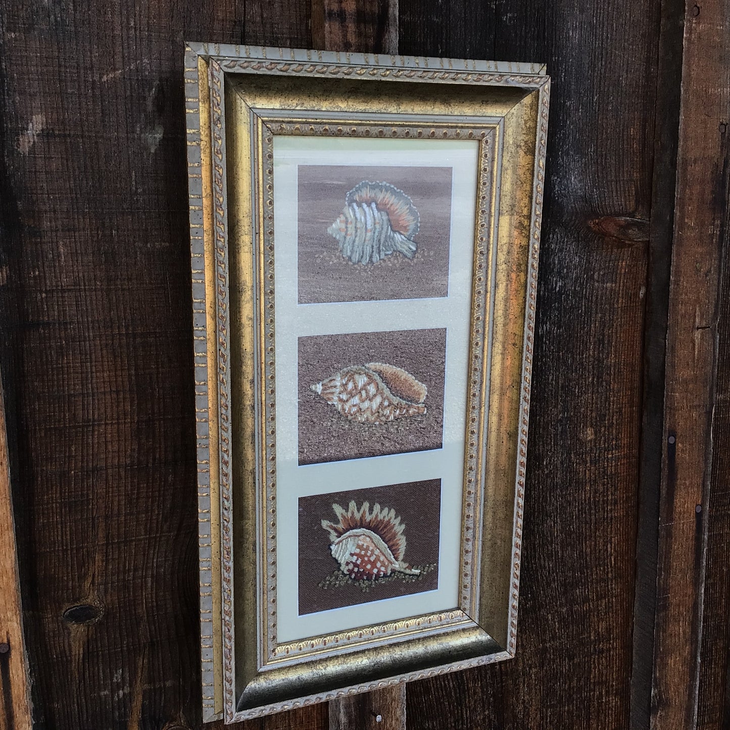 Framed Embroidered Sea Shells