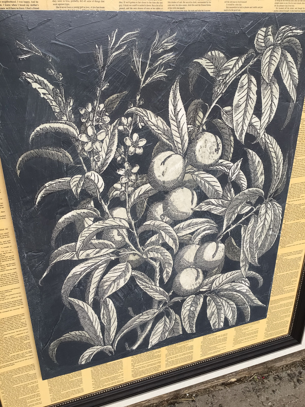 Vintage Fruit and Floral 2 Framed Artwork