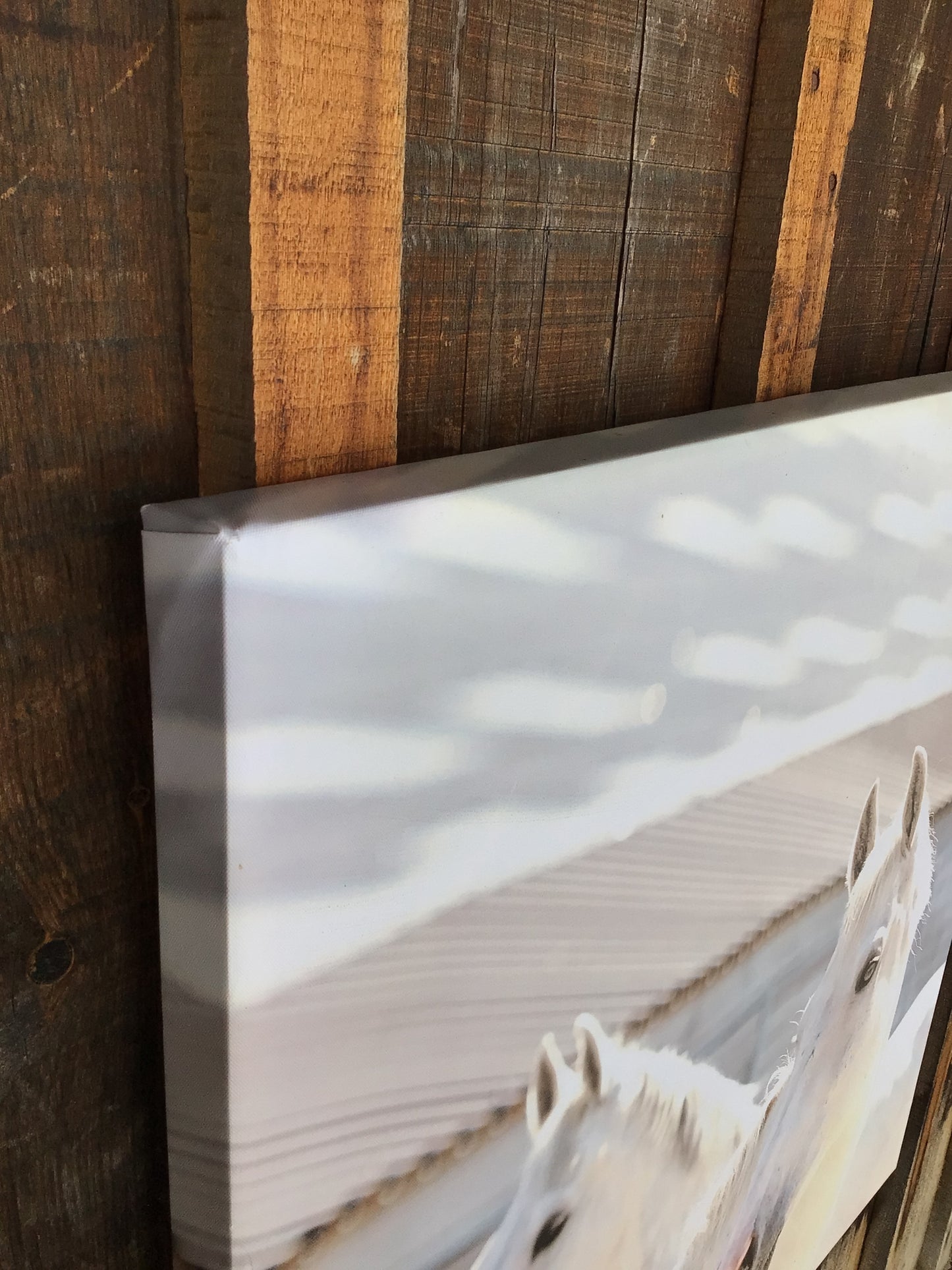 Canvas with 2 White Horses