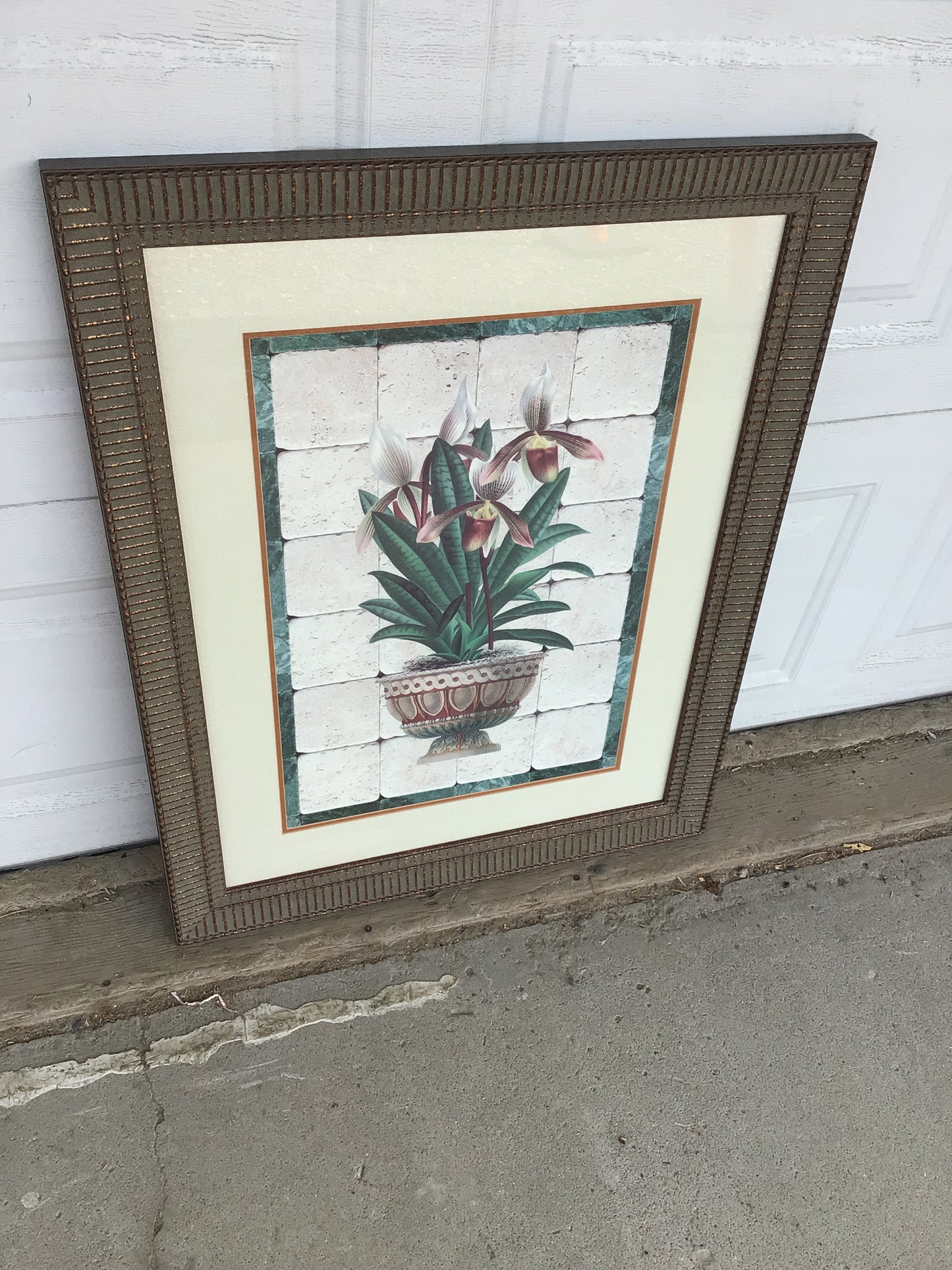 Framed Orchid