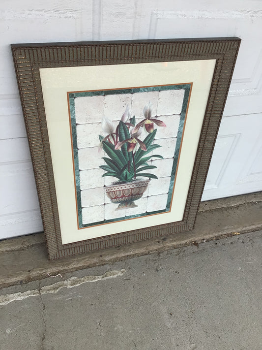Framed Orchid
