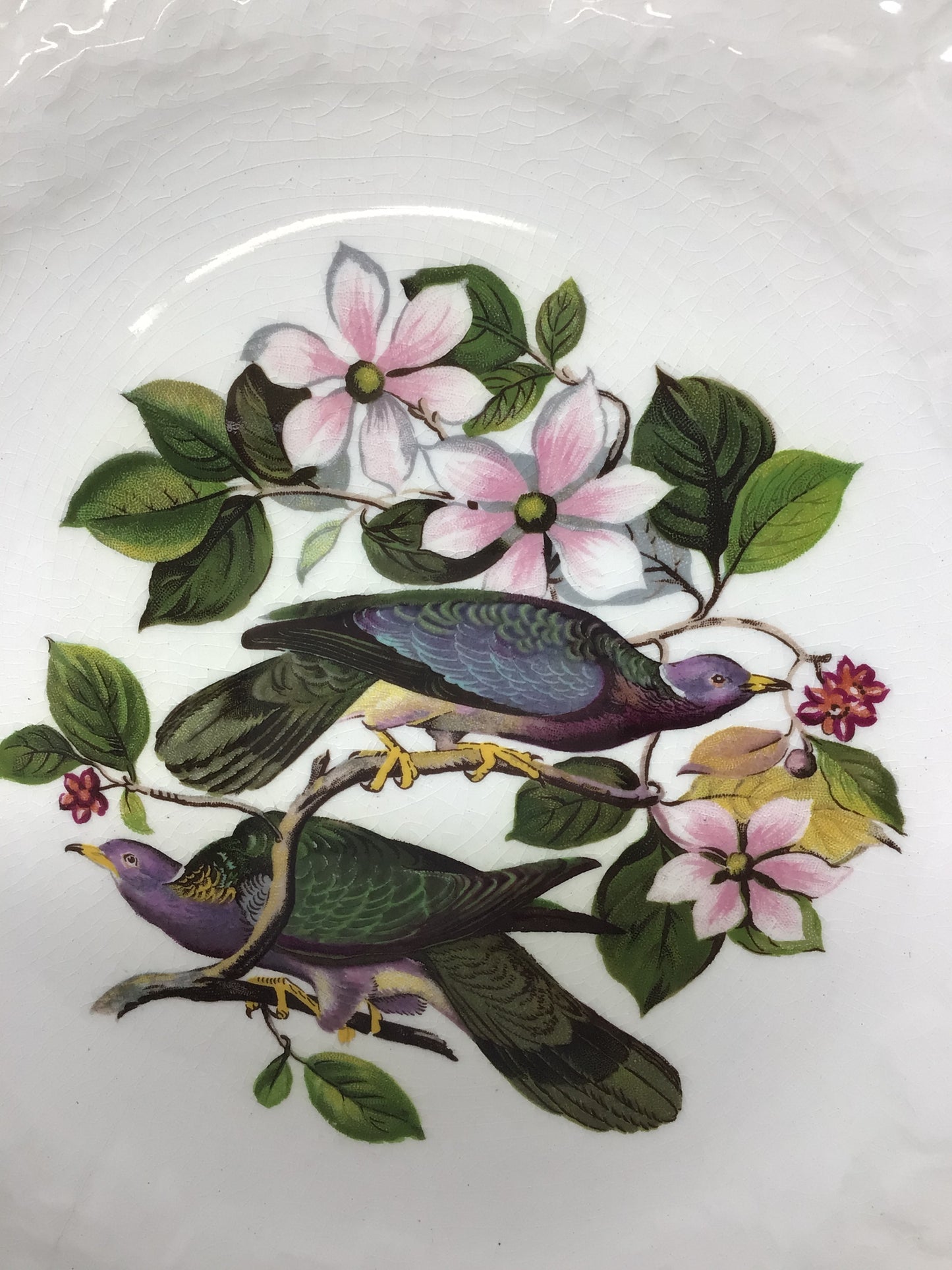 Alfred Meakin Birds of America Plate