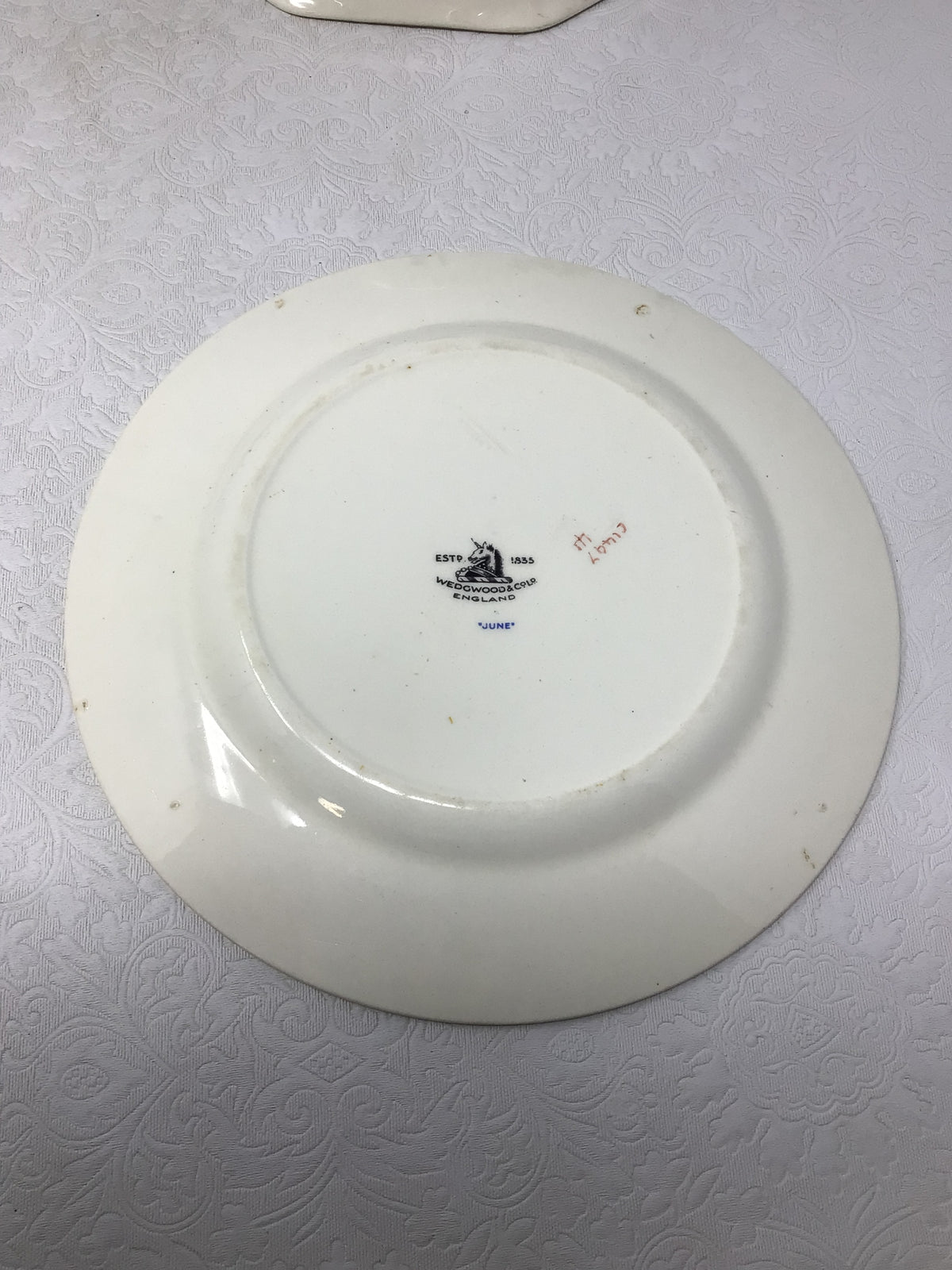 Vintage White Porcelain Dinner Plate Set