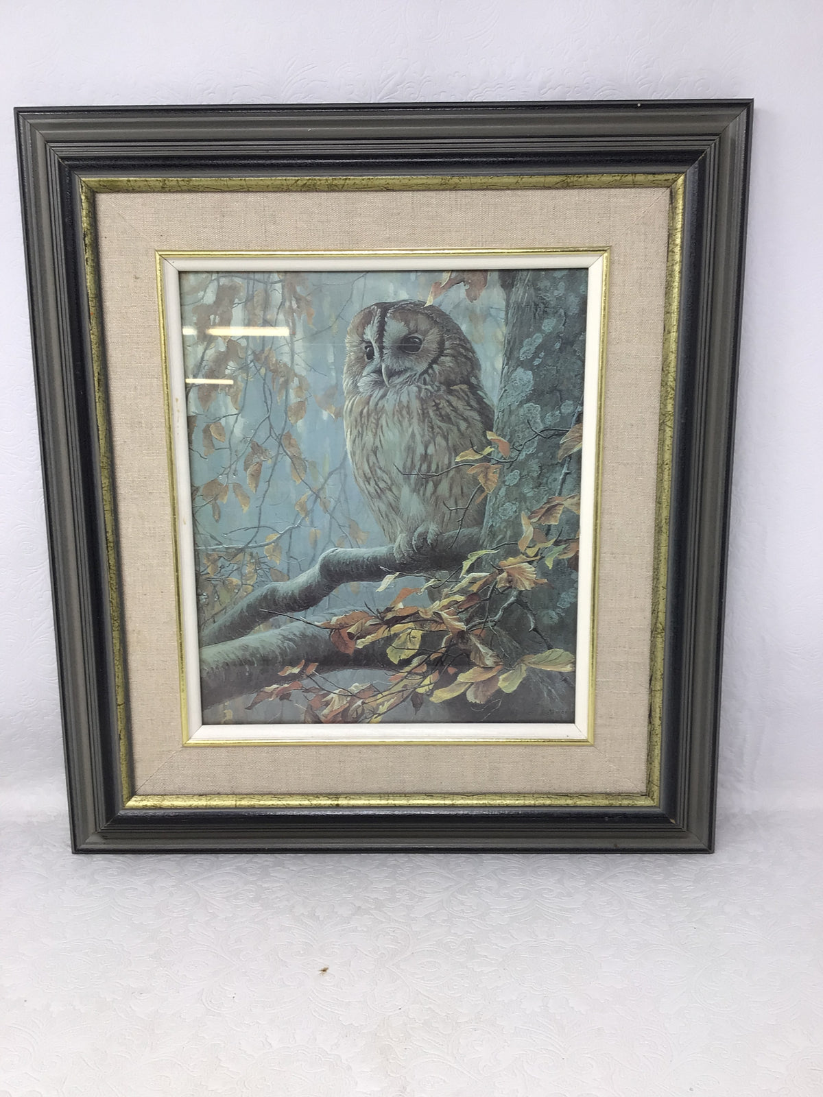 Tawny Owl In Beech by Robert Bateman