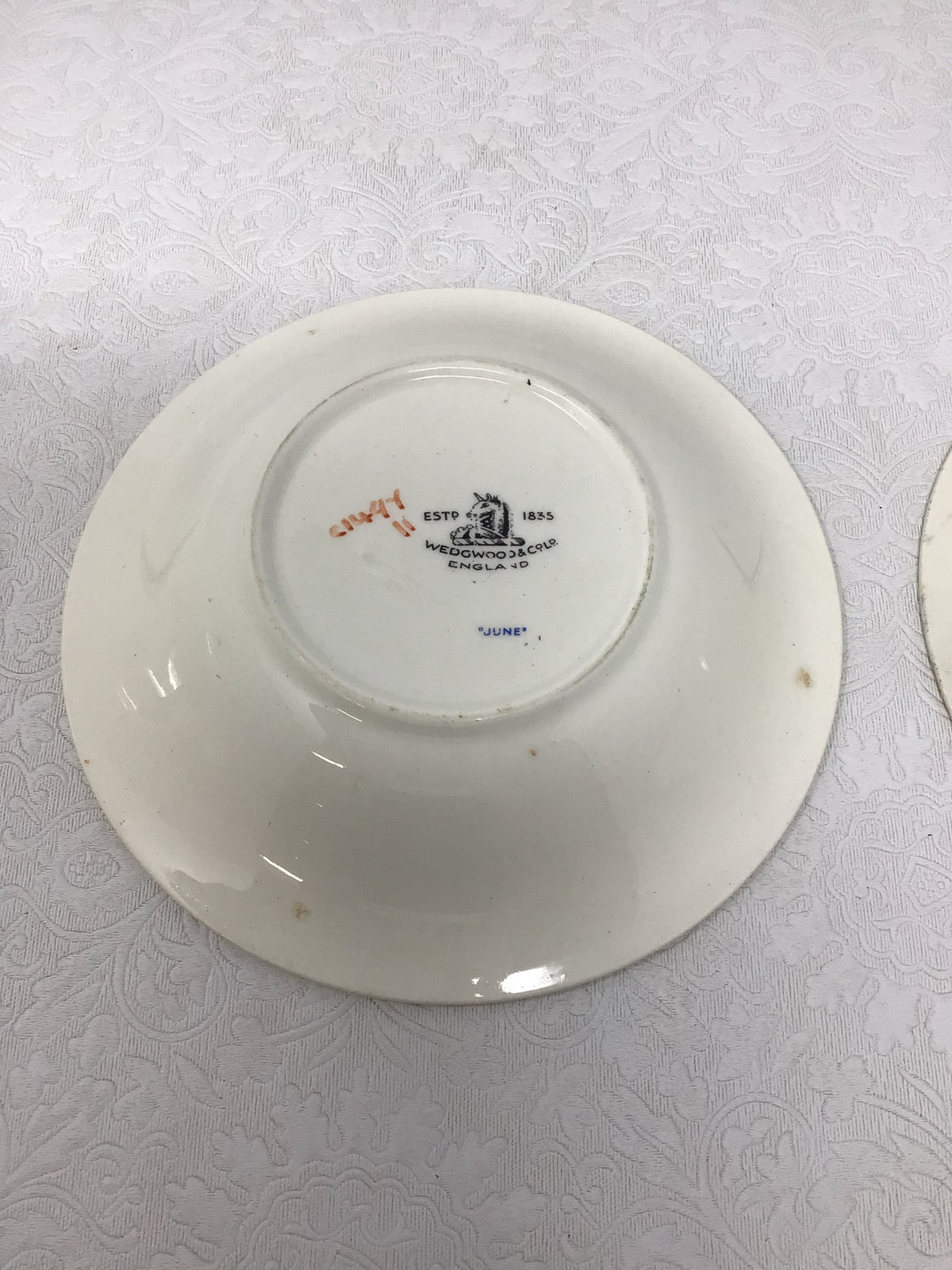 Vintage White Porcelain Dinner Plate Set
