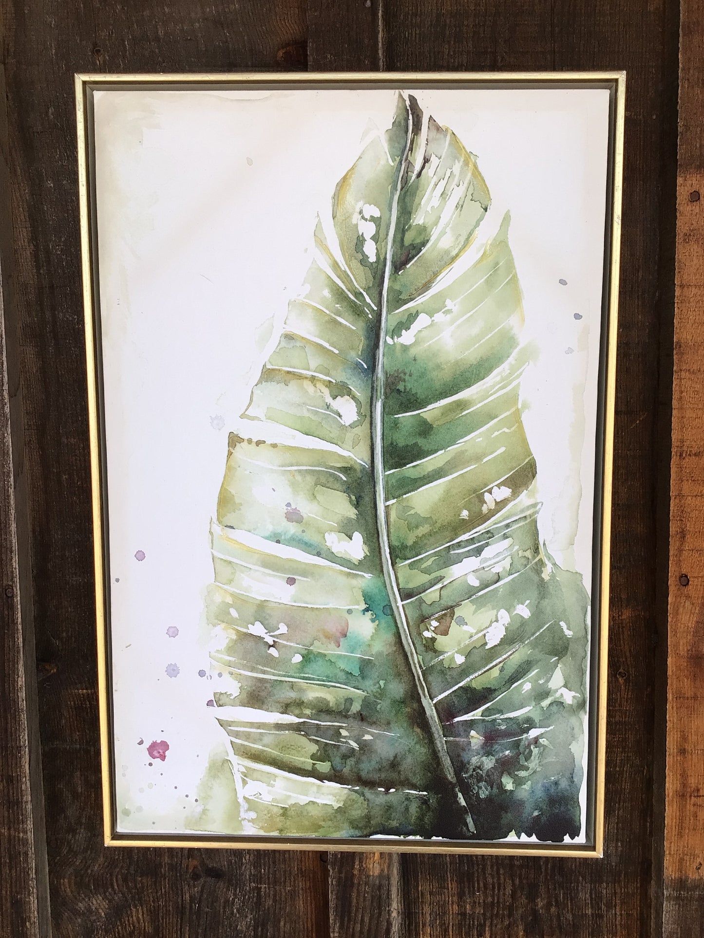 Watercolour Plantain Leaves Framed Print