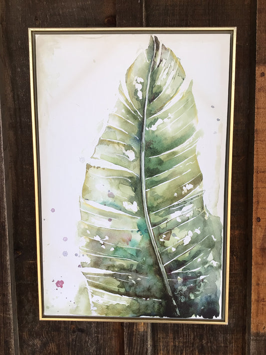 Watercolour Plantain Leaves Framed Print