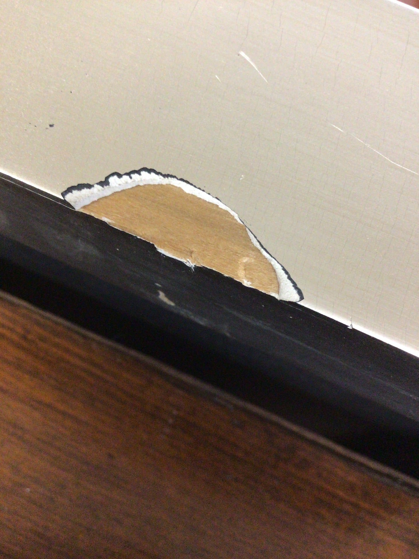 Large Bowring Art Piece