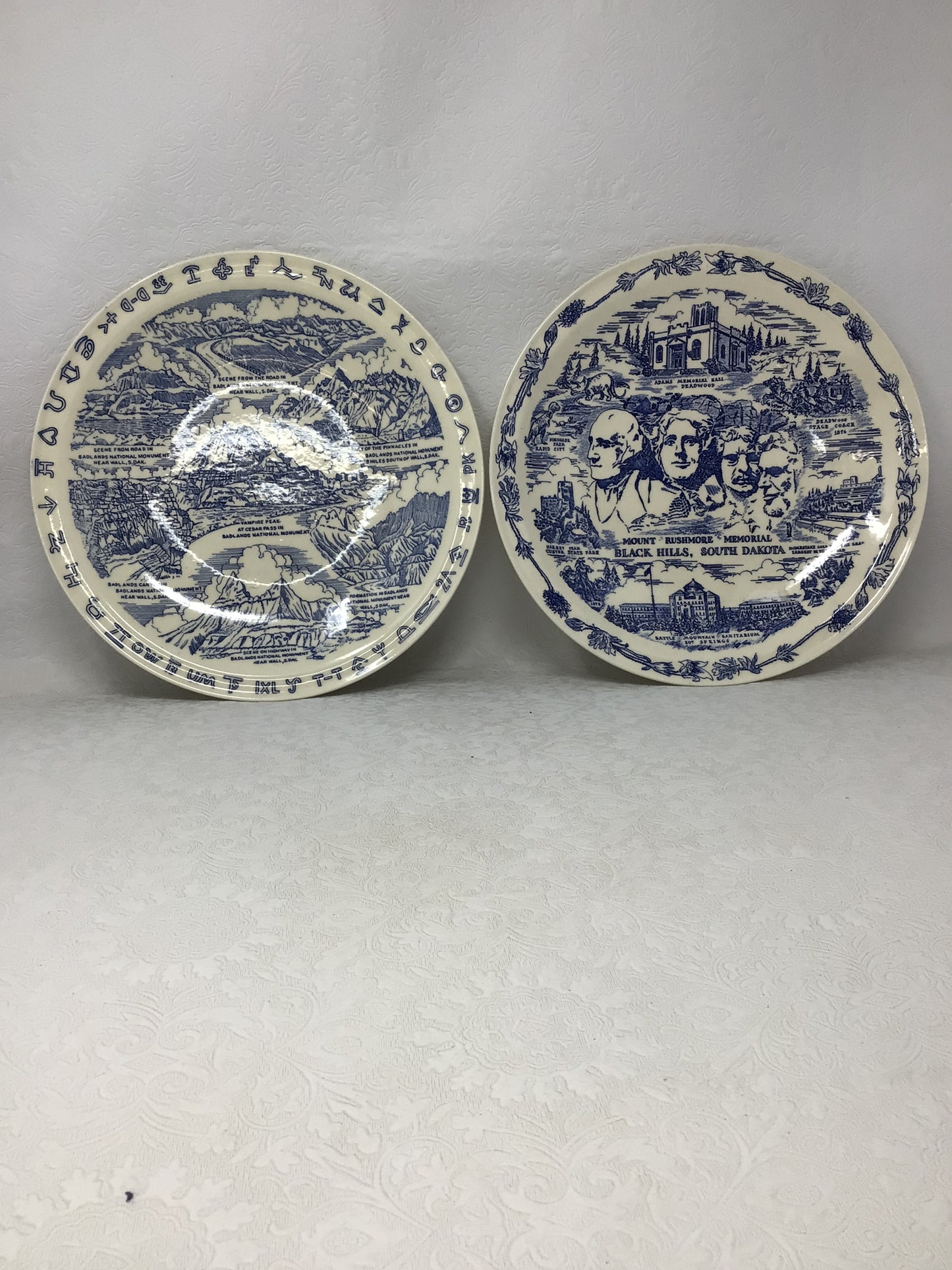 Set of 2 Vintage Blue Transferware Souvenir Collector Plates