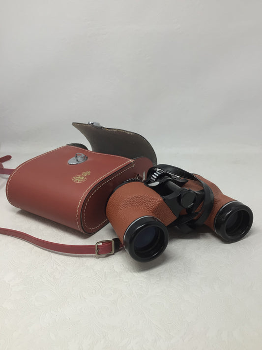 Vintage Porro Prism Binoculars with Case and Strap