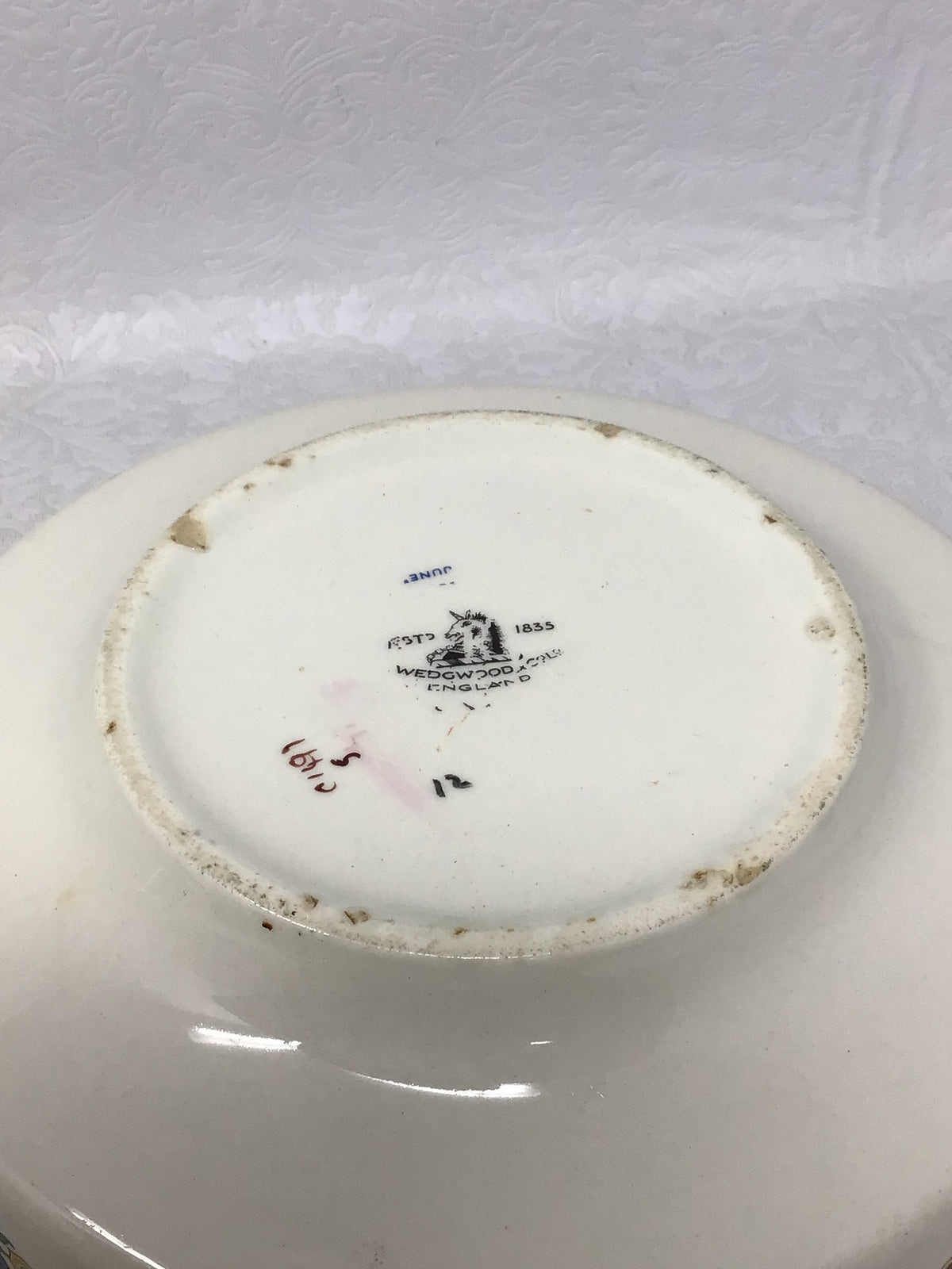 Vintage White Porcelain Dinner Plate Set