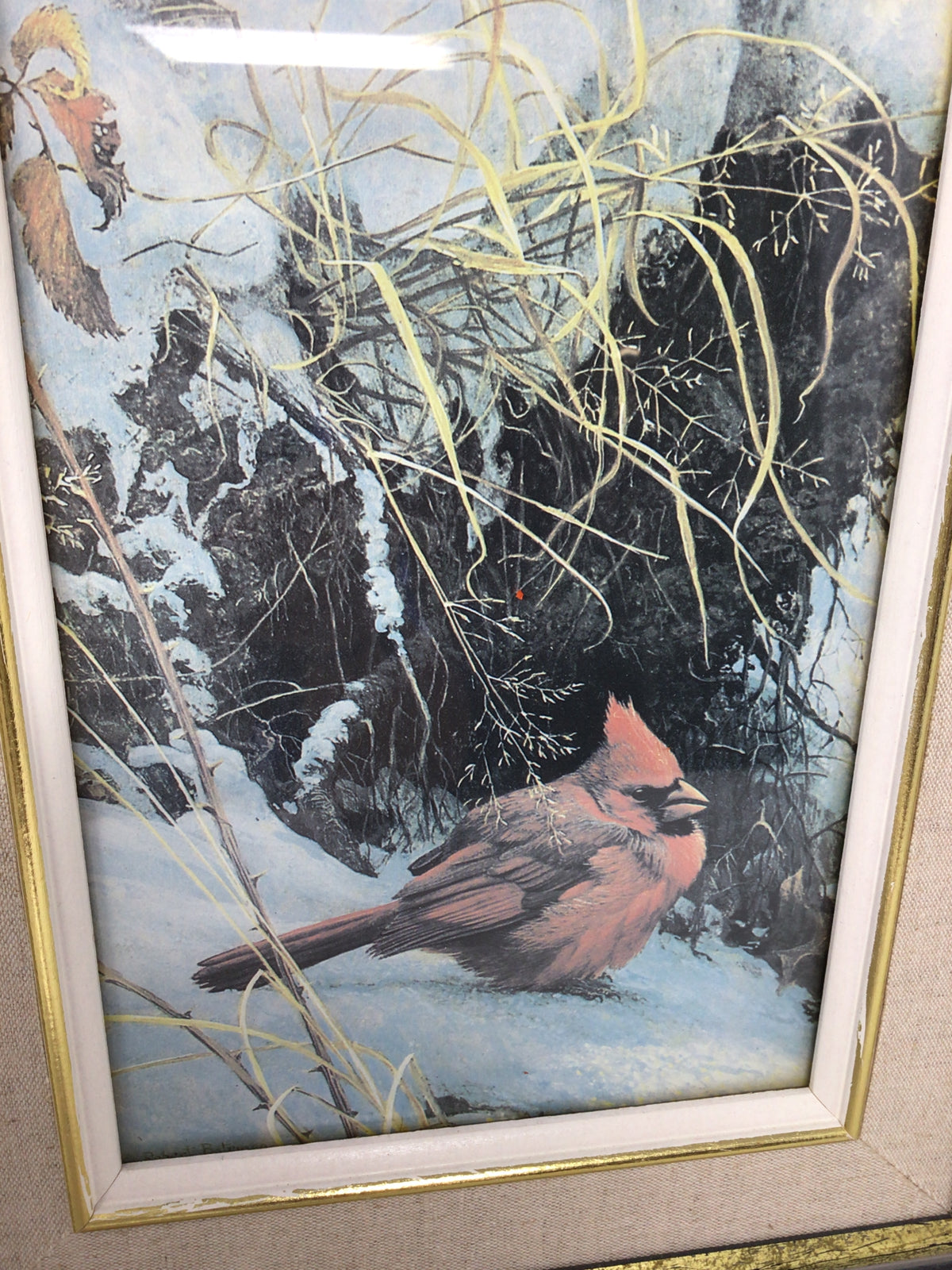 Framed and Matted Print of a “Winter Cardinal”